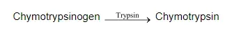 NCERT Solutions for Class 11 Biology chapter 16 Digestion and Absorption PDF Image