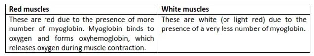 NCERT Solutions for Class 11 Biology chapter 20 Locomotion and Movement PDF Image 3