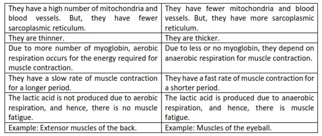 NCERT Solutions for Class 11 Biology chapter 20 Locomotion and Movement PDF Image 4