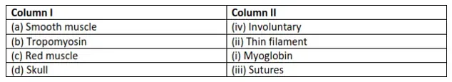 NCERT Solutions for Class 11 Biology chapter 20 Locomotion and Movement PDF Image 6