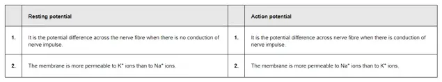 NCERT Solutions for Class 11 Biology chapter 21 Neural Control and Coordination PDF Image 2