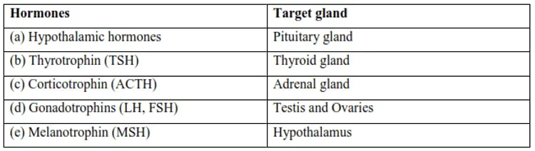 NCERT Solutions for Class 11 Biology chapter 22 Chemical Coordination and Integration PDF Image 8