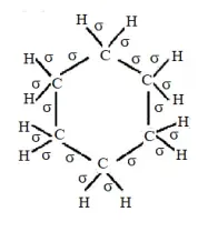 NCERT Solutions for Class 11 Chemistry chapter 12 Organic Chemistry - Some Basic Principles and Techniques PDF Image 6