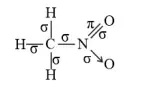 NCERT Solutions for Class 11 Chemistry chapter 12 Organic Chemistry - Some Basic Principles and Techniques PDF Image 9