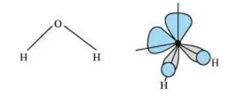 NCERT Solutions for Class 11 Chemistry chapter 9 Hydrogen PDF Image 6