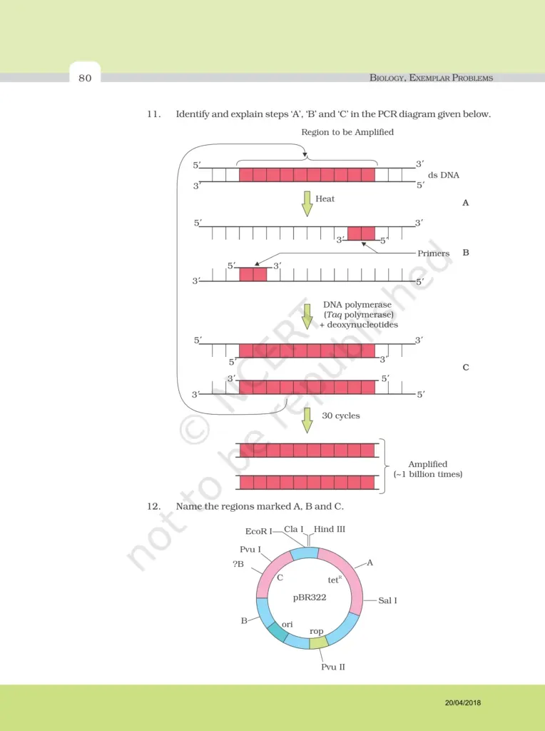 NCERT Exemplar Image 6