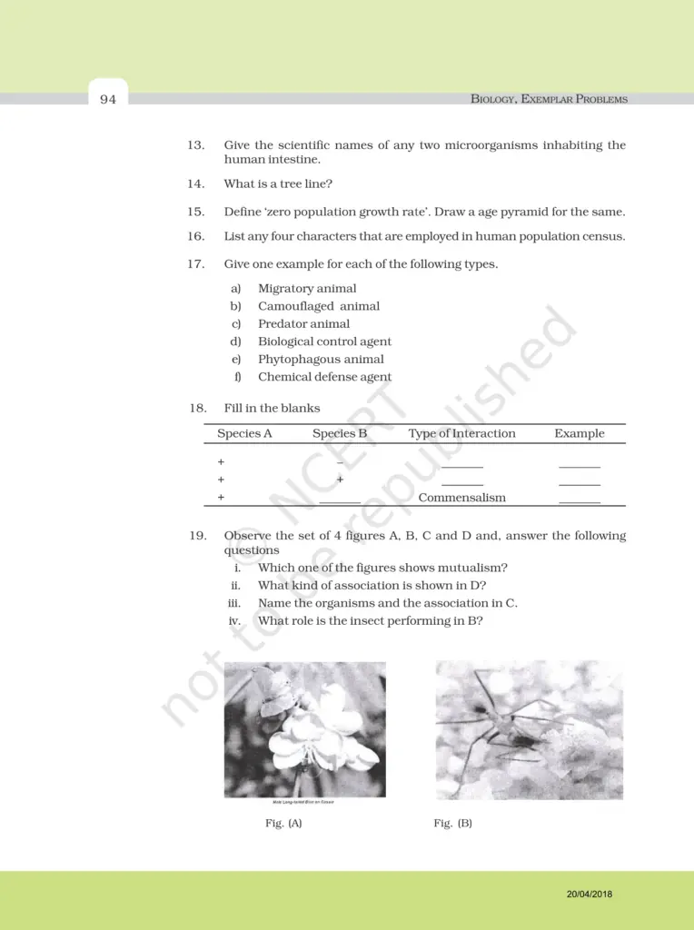 NCERT Exemplar Image 7