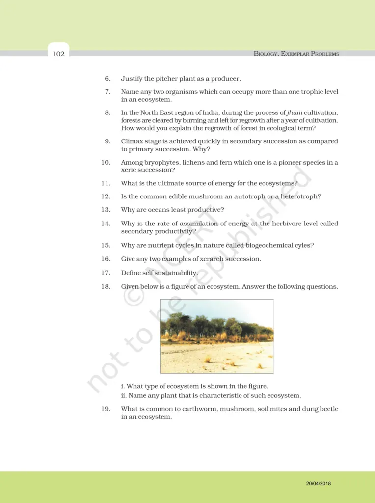 NCERT Exemplar Image 5