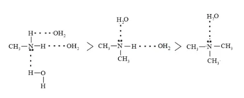 NCERT Solutions for Class 12 Chemistry Chapter 13 Amines PDF Image 13