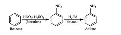 NCERT Solutions for Class 12 Chemistry Chapter 13 Amines PDF Image 9
