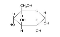 NCERT Solutions for Class 12 Chemistry Chapter 14 Biomolecules PDF Image 1