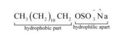 NCERT Solutions for Class 12 Chemistry Chapter 16 Chemistry in Everyday Life PDF Image 9