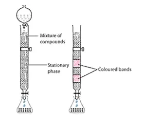 NCERT Solutions for Class 12 Chemistry Chapter 6 General Principles and processes of isolation of elements PDF Image 4