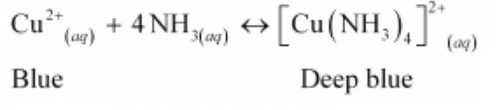 NCERT Solutions for Class 12 Chemistry Chapter 7 The P Block Elements PDF Image 1