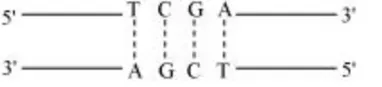 NCERT Solutions for Class 12 Biology Chapter 11 Biotechnology: Principles and Processes PDF Image 6