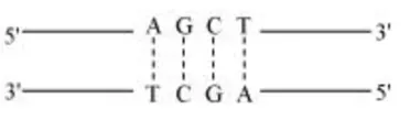 NCERT Solutions for Class 12 Biology Chapter 11 Biotechnology: Principles and Processes PDF Image 7