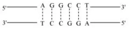 NCERT Solutions for Class 12 Biology Chapter 11 Biotechnology: Principles and Processes PDF Image 8