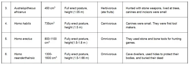 NCERT Solutions for Class 12 Biology Chapter 7 Evolution PDF Image 2