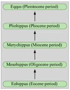 NCERT Solutions for Class 12 Biology Chapter 7 Evolution PDF Image 6