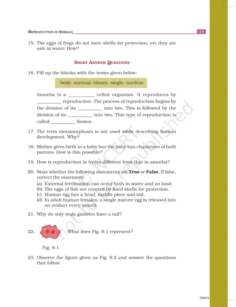 NCERT Exemplar Class 8 Science Chapter 9 Image 3