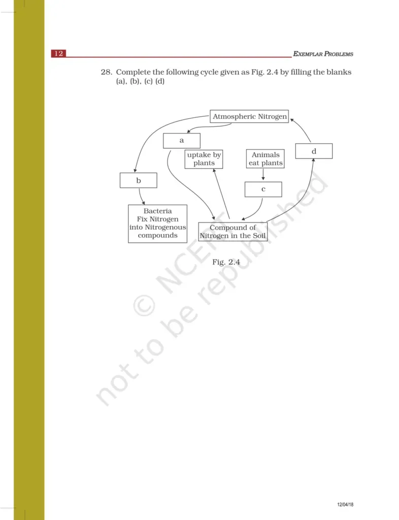 NCERT Exemplar Class 8 Science Chapter 2 Image 6