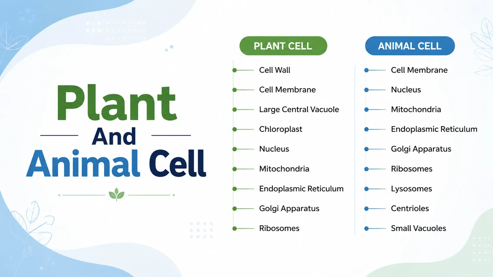 difference between plant cellvs animal cell